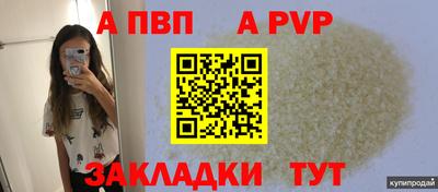 стаф Камышлов